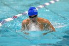 Swimming & Diving vs Babson  Swimming & Diving vs Babson College. - Photo by Keith Nordstrom : Wheaton, Swimming